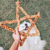 Custom Bullysticks (Downpayment)